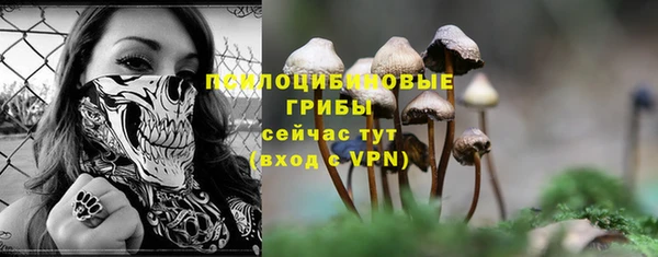 молекула духа Пестово