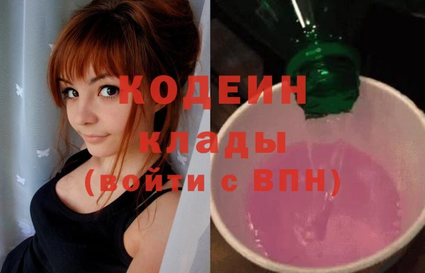 ешки Корсаков