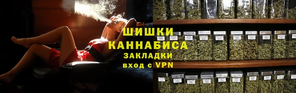 молекула духа Пестово