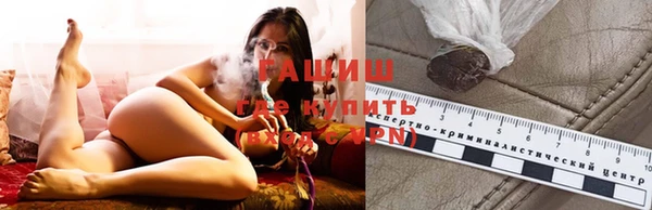 хмурый Алексин