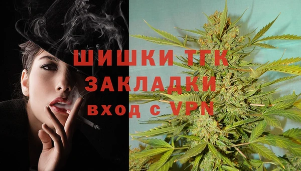 молекула духа Пестово