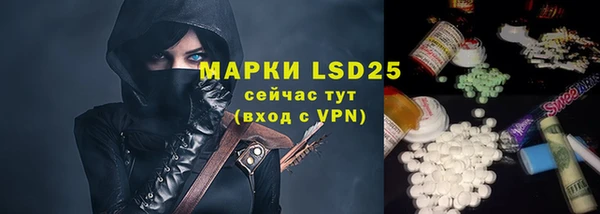 хмурый Алексин