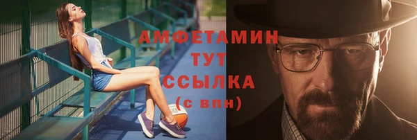 молекула духа Пестово