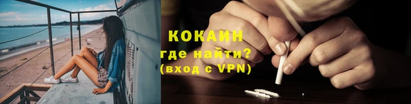 молекула духа Пестово