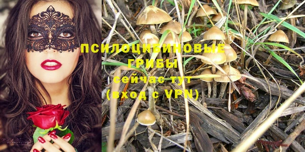 молекула духа Пестово