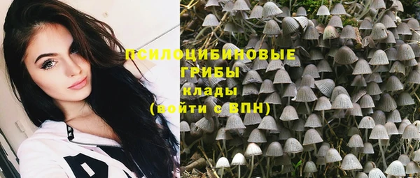 молекула духа Пестово