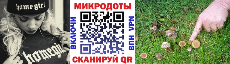 Галлюциногенные грибы Psilocybine cubensis  гидра зеркало  Кириллов  закладки 